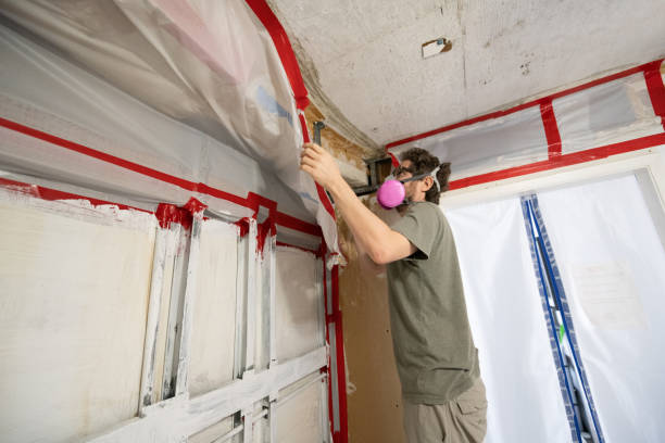 Rolesville, NC Mold Removal Company